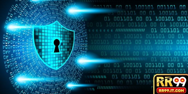 Nắm bắt quy định chính sách bảo mật RR99