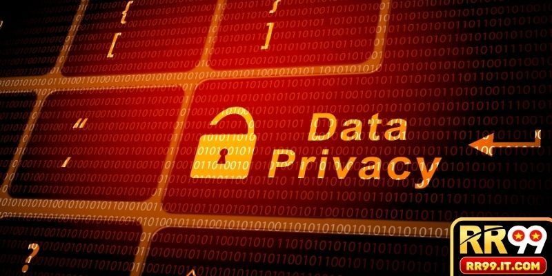 Nội dung khách hàng cần quan tâm đối với điều khoản của trang web